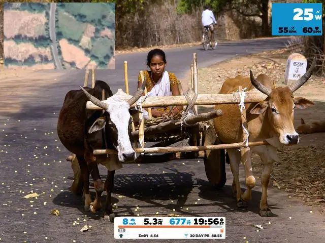 Girl on bullock cart, India